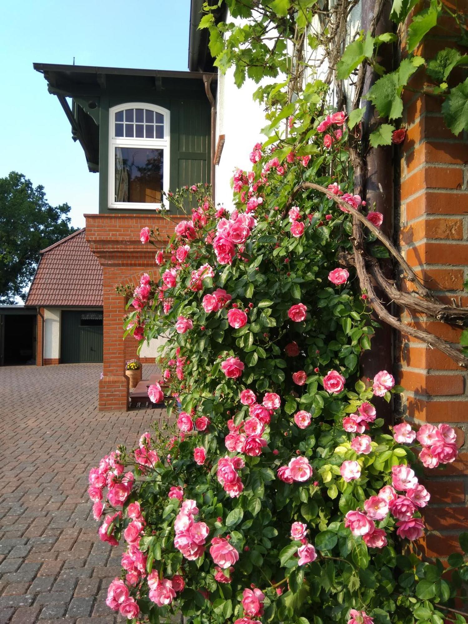 Apartmán Landtraum Im Traumland Mecklenburg Warin Exteriér fotografie